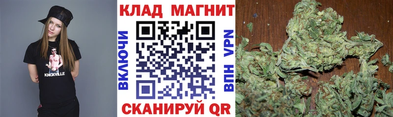 Конопля Красный Кут