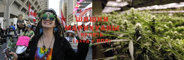 apvp Аркадак