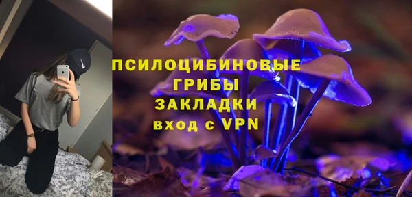 винт Елизово